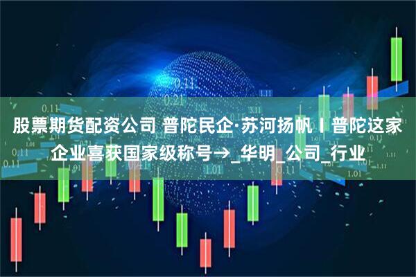 股票期货配资公司 普陀民企·苏河扬帆〡普陀这家企业喜获国家级称号→_华明_公司_行业